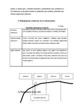 Biznesa plāns 'SIA "Pepe" biznesa plāns', 7.