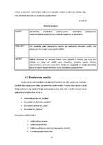 Biznesa plāns 'SIA "Pepe" biznesa plāns', 9.