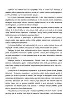 Referāts 'M.Portera piecu spēku modelis veikalā "Elvi"', 3.