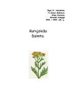 Referāts 'Kurvjziežu dzimta', 1.