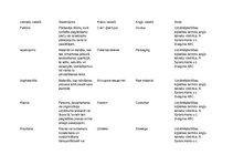 Paraugs 'Loģistikas vārdnīca', 1.