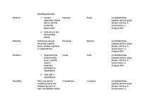 Paraugs 'Loģistikas vārdnīca', 3.