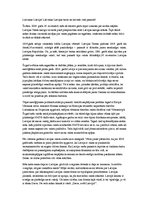 Eseja '18.novembra uzruna', 1.