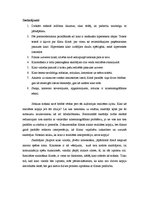 Referāts 'Kinematogrāfiskā zīme. Reprezentācijas jeb atainojuma problēma kino: kino kā rea', 6.