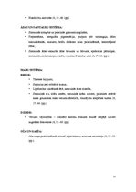 Referāts 'Geriatrijas pacientu aprūpes īpatnības stacionāros apstākļos', 13.