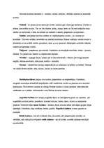 Konspekts 'Kultūra, sociālās dzīves organizēšana', 3.