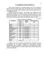 Biznesa plāns 'Viesu nama biznesa plāns', 17.