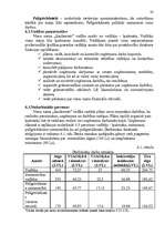 Biznesa plāns 'Viesu nama biznesa plāns', 19.