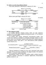 Biznesa plāns 'Viesu nama biznesa plāns', 26.