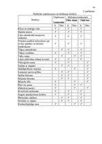 Biznesa plāns 'Viesu nama biznesa plāns', 33.