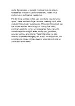 Eseja 'Gruzijas - Krievijas bruņotais konflikts 2008.gadā', 2.