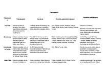 Konspekts 'Latvijas tūroperatoru salīdzinājums', 1.
