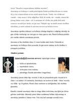 Referāts 'Anoreksija un bulīmija', 2.