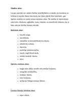 Referāts 'Anoreksija un bulīmija', 4.