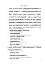 Referāts 'Konfliktu vadība', 6.