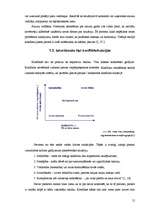 Referāts 'Konfliktu vadība', 12.