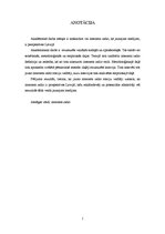 Referāts 'Jauno interneta radio staciju perspektīvas Latvijā', 2.