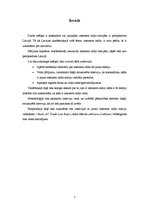 Referāts 'Jauno interneta radio staciju perspektīvas Latvijā', 3.