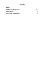 Referāts 'Darba līguma analīze', 1.