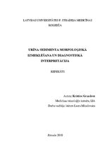Referāts 'Urīna sedimenta morfoloģiskā izmeklēšana un diagnostiskā interpretācija', 1.