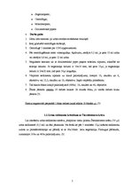 Referāts 'Urīna sedimenta morfoloģiskā izmeklēšana un diagnostiskā interpretācija', 5.
