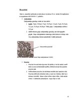 Referāts 'Medus kā izejvielas produkts', 20.