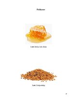 Referāts 'Medus kā izejvielas produkts', 24.