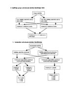 Referāts 'Volejbola taktika', 2.