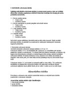 Referāts 'Volejbola taktika', 3.