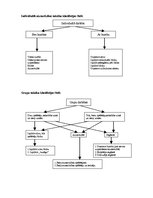 Referāts 'Volejbola taktika', 4.
