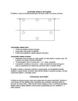Referāts 'Volejbola taktika', 8.