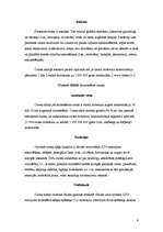 Referāts 'Ozons', 6.