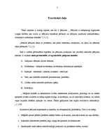 Referāts 'Kvalitatīvā pētījuma analīze', 5.