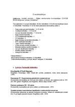 Konspekts 'E-enciklopēdijas', 1.