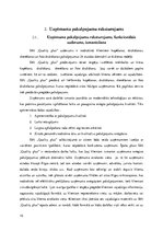 Biznesa plāns 'SIA "Quality plus"', 10.