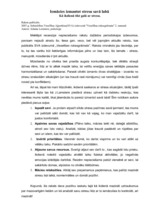 Konspekts 'Recenzijas', 1.