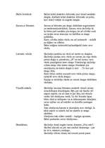 Konspekts 'Integrētās dienas "Manas skolas apkārtējā vide" konspekts 1.klasei', 3.