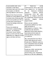 Konspekts 'Historiogrāfiskie stereotipi', 3.