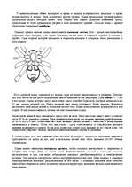 Referāts 'Признаки живых систем - Пауки ', 2.