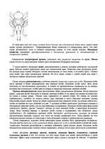 Referāts 'Признаки живых систем - Пауки ', 4.