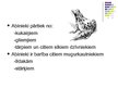 Prezentācija 'Abinieki', 18.