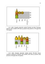 Diplomdarbs 'Akcīzes nodokļa administrēšana VID', 64.