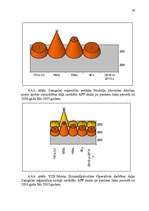 Diplomdarbs 'Akcīzes nodokļa administrēšana VID', 65.