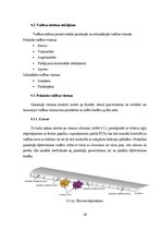 Diplomdarbs 'Vidējo attālumu lidmašīnas konstrukcijas izstrāde no moderniem materiāliem un sp', 58.