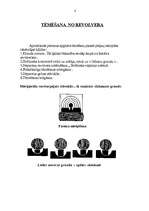 Referāts 'Revolveri', 4.