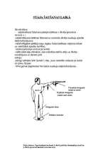 Referāts 'Revolveri', 7.