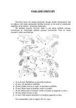 Referāts 'Revolveri', 12.