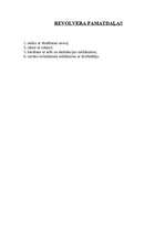 Referāts 'Revolveri', 15.