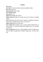 Referāts 'Pirmsskolas vecuma bērnu iesaistīšana par bibliotēku lasītājiem.', 2.