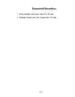 Referāts 'Politoloģija', 8.